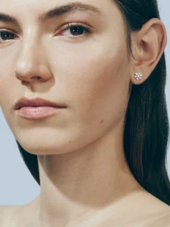 Cosmos Diamant Ørering
