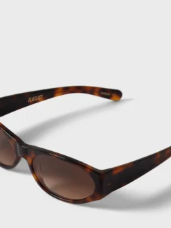 Eddie Kyu Solbriller i Tortoise og Brown Gradient Lens