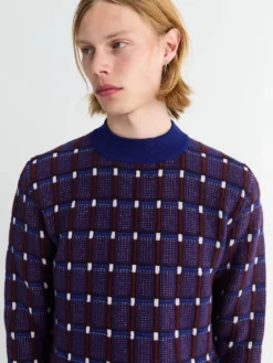 Longsleeved Jumper i Eudialyte