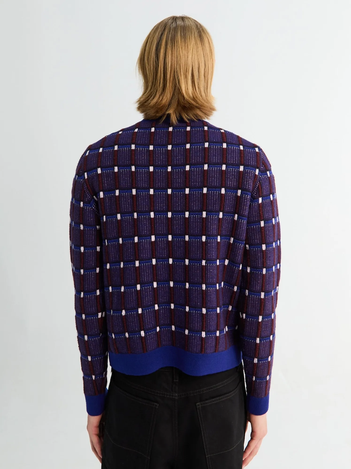 Longsleeved Jumper i Eudialyte